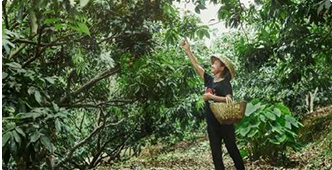 �����O(sh��)Ӌ(j��)�cֱ���\(y��n)�I(y��ng)-�V�����A��(li��n)�W(w��ng)�Ƽ��W(xu��)У