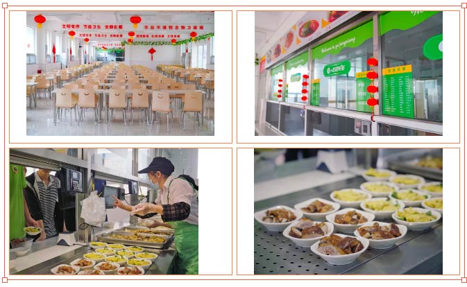 1732871826491031.jpg 1732871529685.jpg