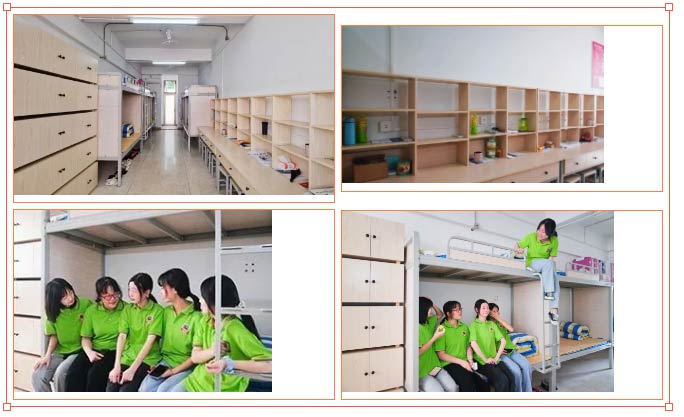 1732871881388419.jpg 1732871539501.jpg