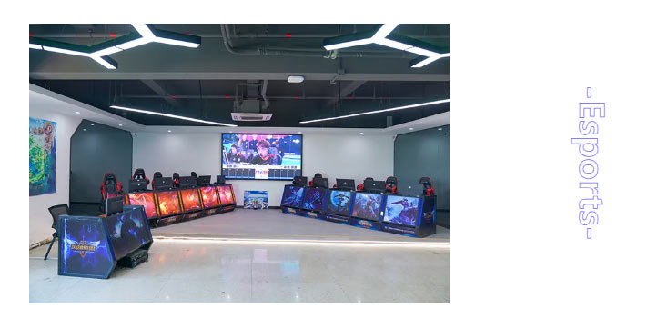 1734482592285716.jpg 1734482530393.jpg